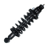 Picture of Rear Struts Shock Absorber Complete Quick for 2001 2002 2003 Acura EL