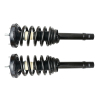 Picture of Front Coil Spring Struts Shock Absorber Complete Quick Fits 2007 2008 2009 2010 2011 Hyundai Azera
