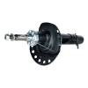 Picture of Suspension Strut Assembly Front Left Complete Assembly Compatible with 2008-2015 Land Rover LR2