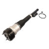 Picture of Rear Air Shock Strut Assembly Passenger Right RH Compatible with 2012 2013 Mercedes-Benz S350