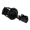 Picture of Front Struts with Coil Spring Compatible with 2013 2014 2015 2016 2017 2018 Nissan Altima