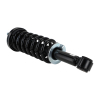 Picture of RWD Front Struts Shocks Coil Springs Complete Quick Fit for 2004 2005 2006 2007 2008 Ford F-150