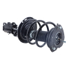Picture of Front Pair Quick Complete Struts & Coil Springs Complete Quick Fit for 2009 2010 2011 2012 2013 2014 Nissan Maxima